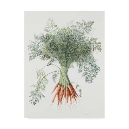 Margaret Ann Eden 'Carrots, 1995' Canvas Art,14x19